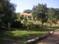 jardin  début avril