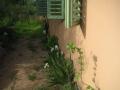 jardin  début avril
